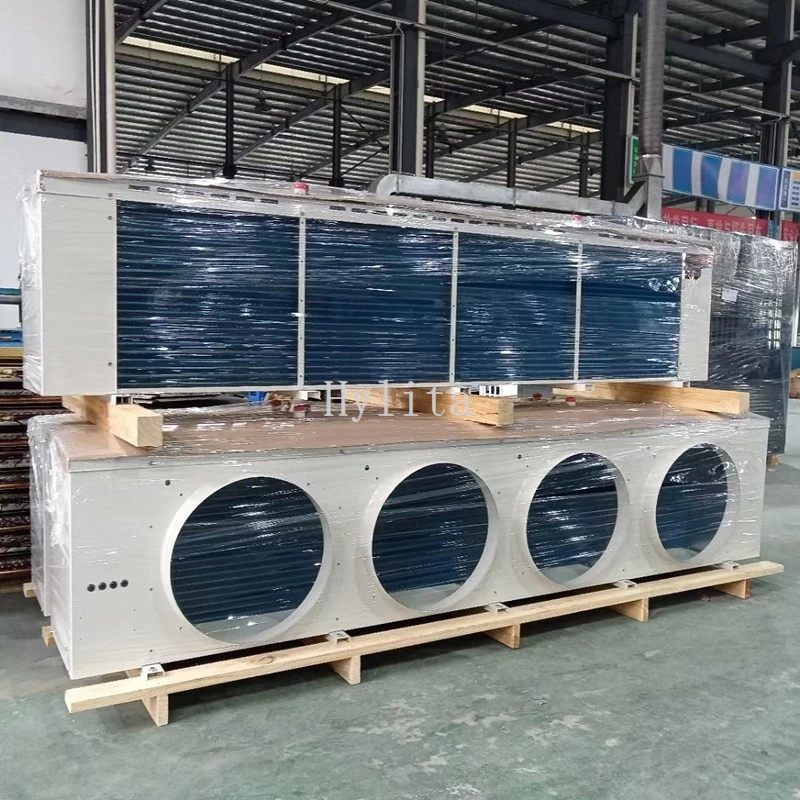 product-800-800