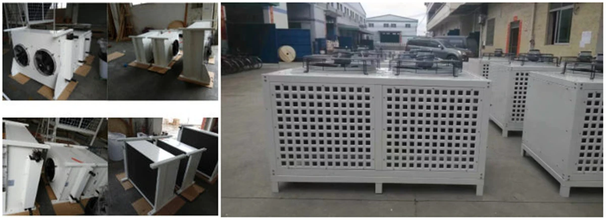product-1200-437